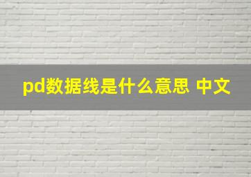 pd数据线是什么意思 中文